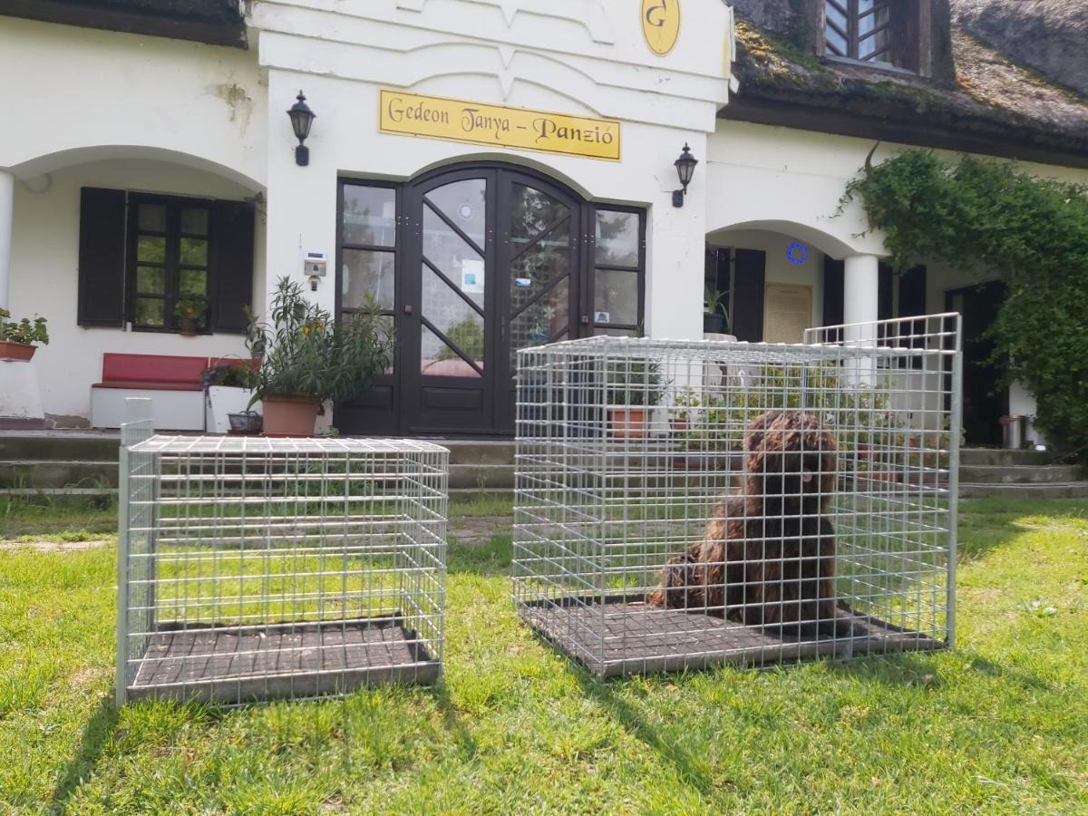 Jakabszállás 热代翁坦亚宾馆旅馆 外观 照片