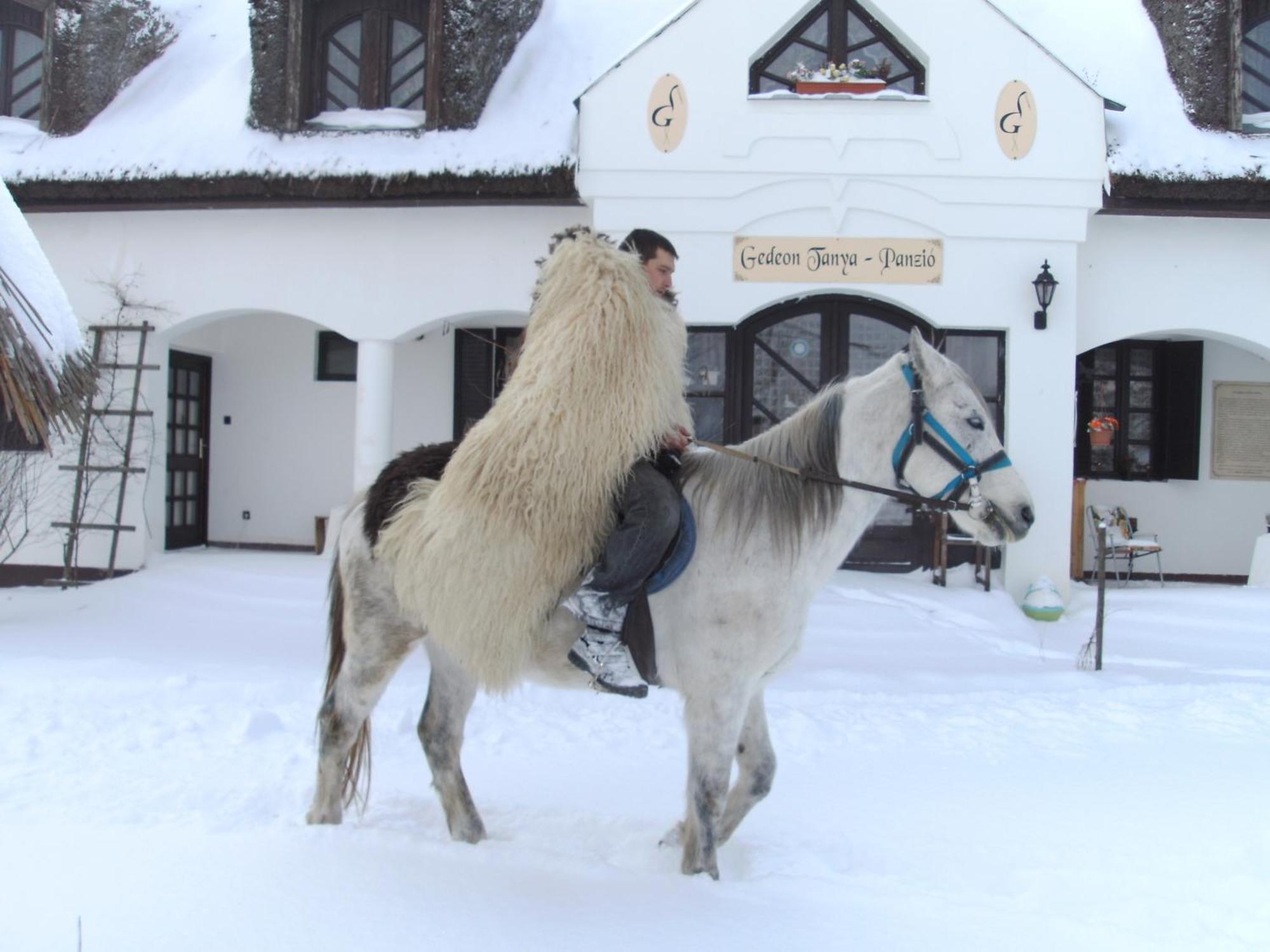 Jakabszállás 热代翁坦亚宾馆旅馆 外观 照片